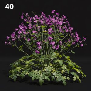 Purple Flower Proxy Model for SketchUp with V-Ray