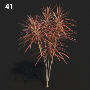 Dracaena Plant Model for SketchUp with V-Ray