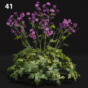 Purple Flower Proxy Model for SketchUp with V-Ray