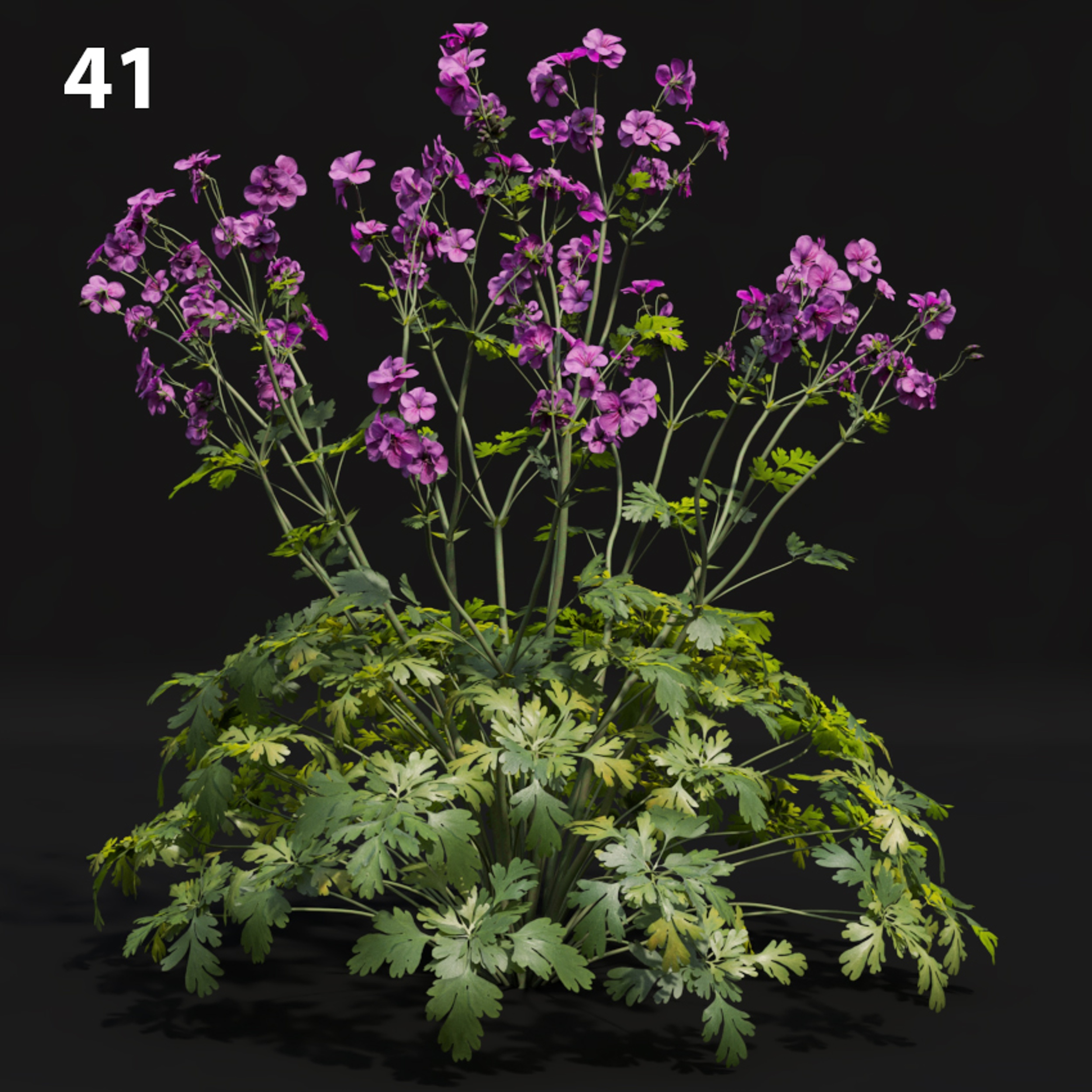 Purple Flower Proxy Model for SketchUp with V-Ray