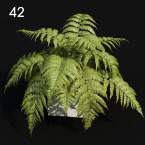 Realistic Fern Proxy Model for SketchUp with V-Ray