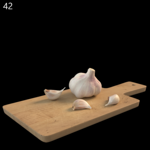 Garlic Proxy Model for SketchUp with V-Ray