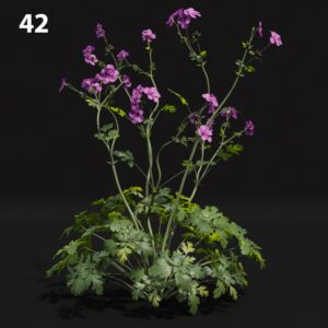 Realistic Flower Proxy Model for SketchUp with V-Ray