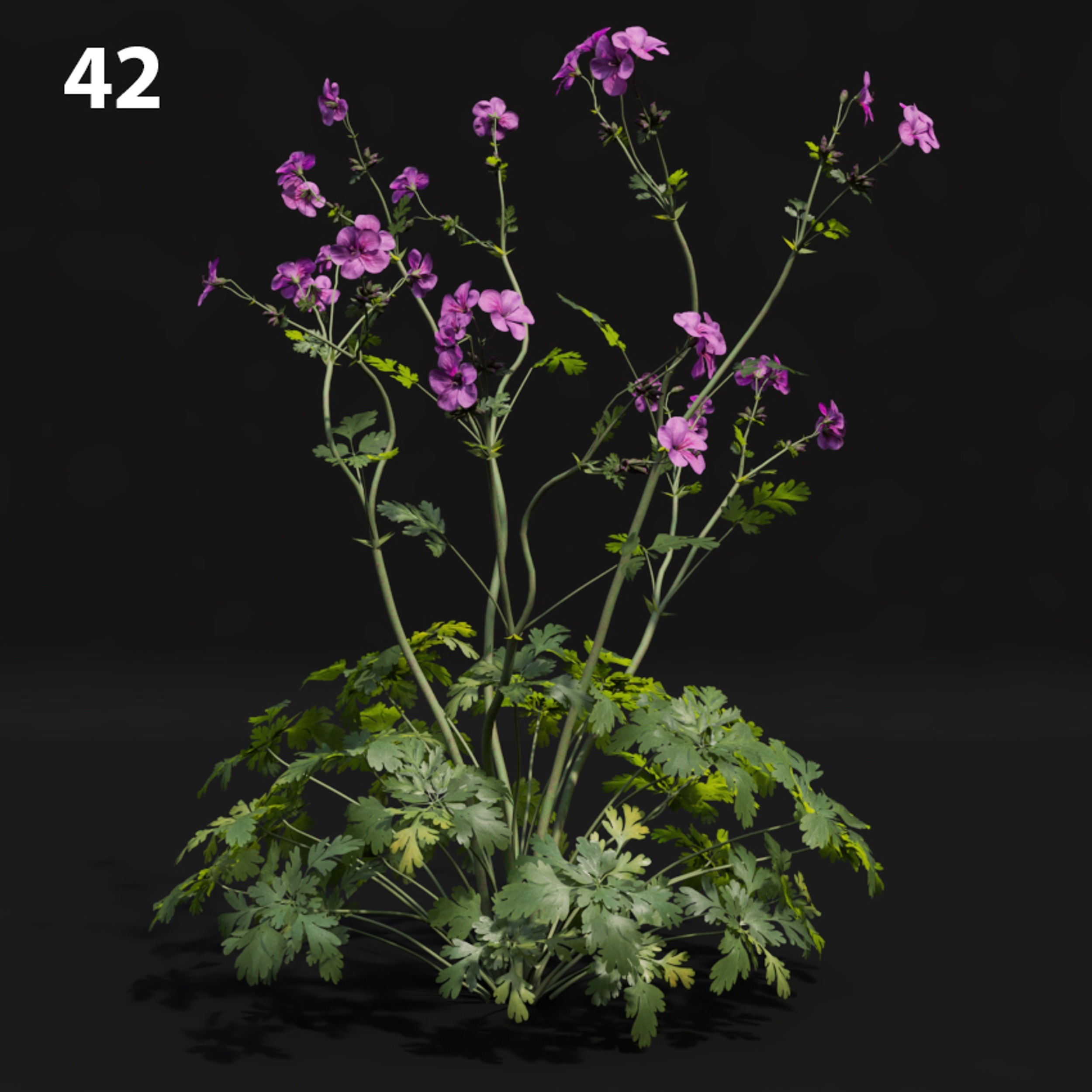Realistic Flower Proxy Model for SketchUp with V-Ray