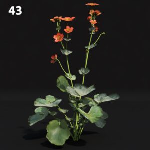 Vibrant Flower Proxy Model for SketchUp with V-Ray