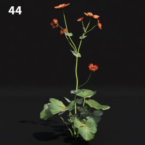 Flower Proxy Model for SketchUp with V-Ray