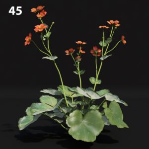 Realistic Flower Proxy Model for SketchUp with V-Ray