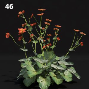 Flower Proxy Model for SketchUp with V-Ray