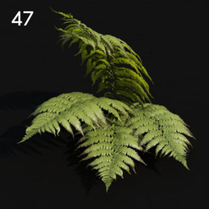 Realistic Fern Proxy Model for SketchUp with V-Ray