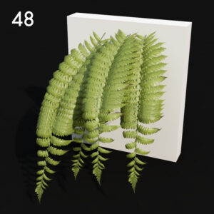 Lush Green Fern Proxy Model for SketchUp with V-Ray