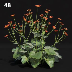 Red Flower Proxy Model for SketchUp with V-Ray