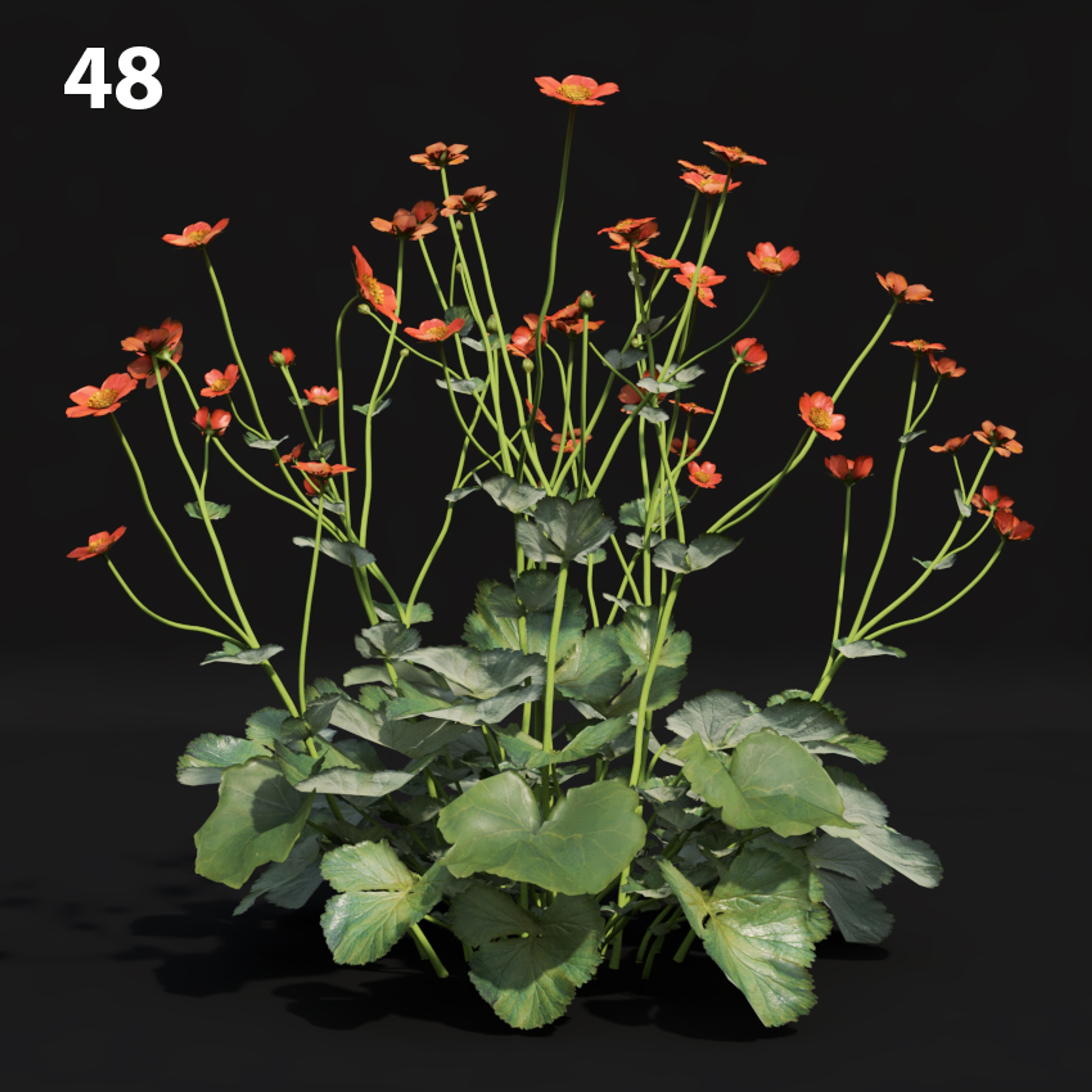 Red Flower Proxy Model for SketchUp with V-Ray