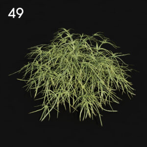 Pteris Proxy Model for SketchUp with V-Ray