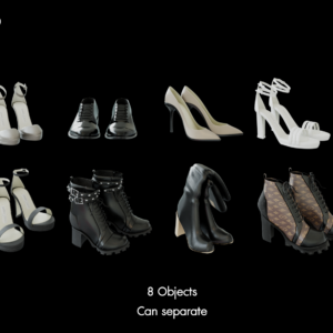 Stylish Shoe Collection Model