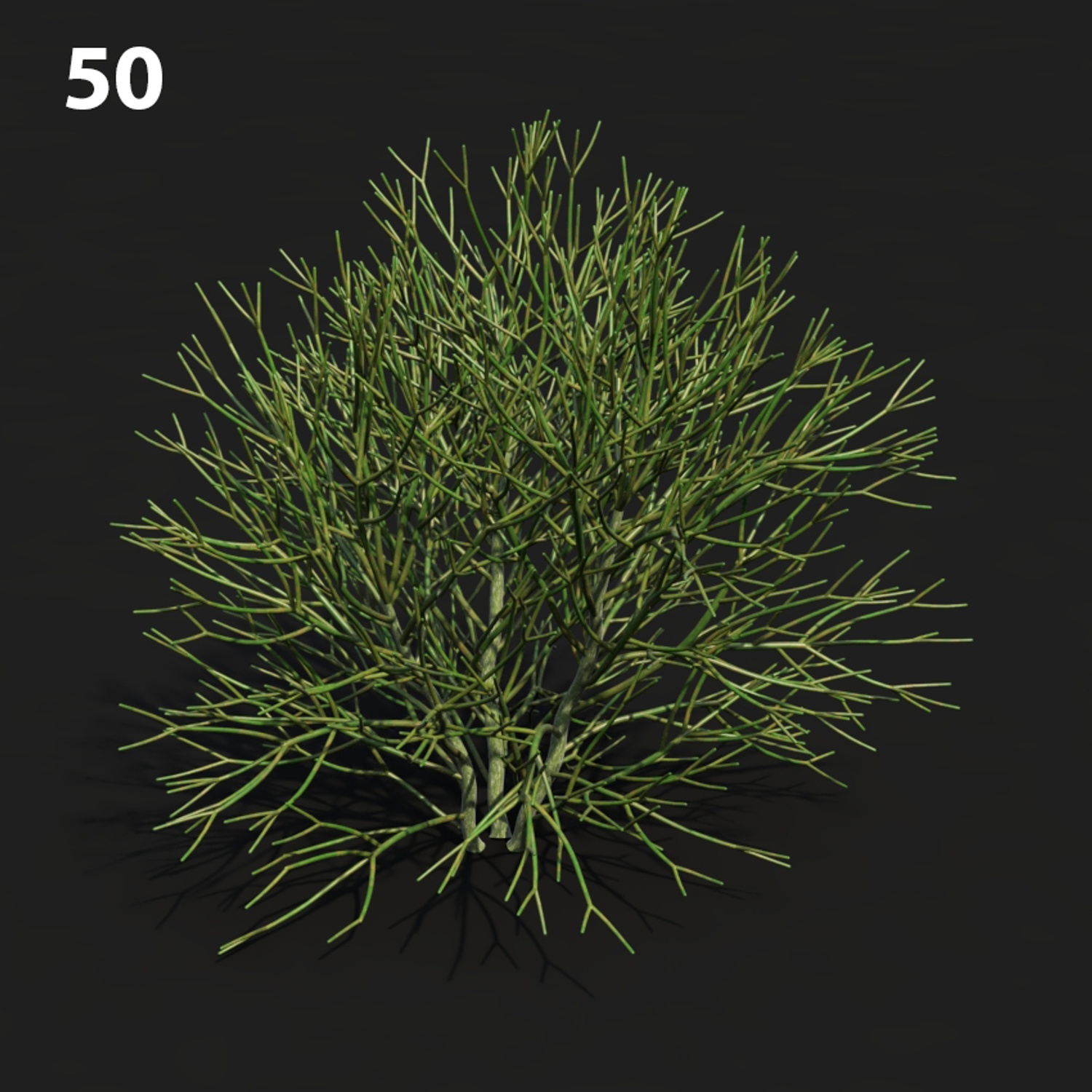 MTV75 Eupho Proxy Model