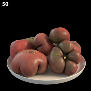 Fresh Tomatoes Proxy Model