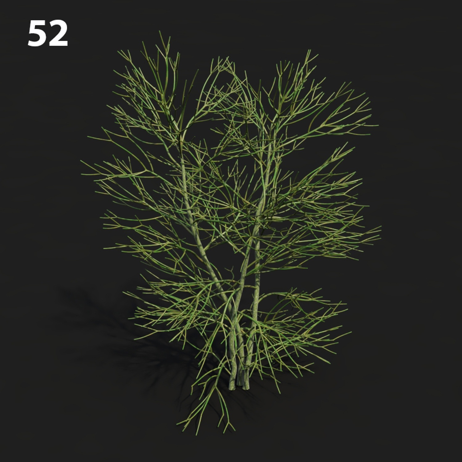 MTV75 Eupho Proxy Model