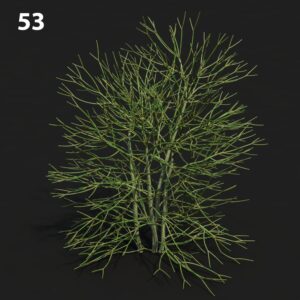 MTV75 Eupho Proxy Model