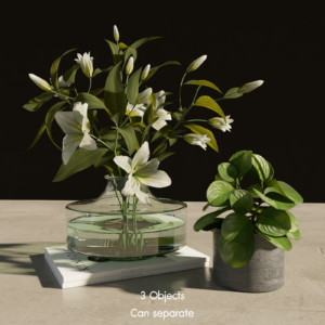 Decorative Plants Set