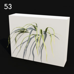 Pteris Proxy Model for SketchUp with V-Ray