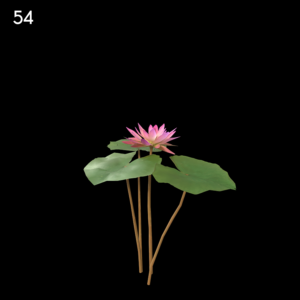 Nymphaea Violet Proxy Model for SketchUp with V-Ray