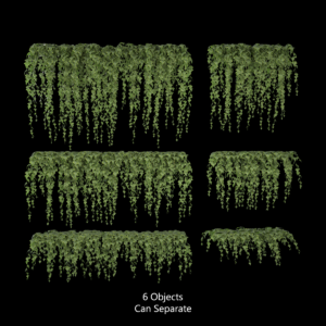 Ivy Polki Proxy Model