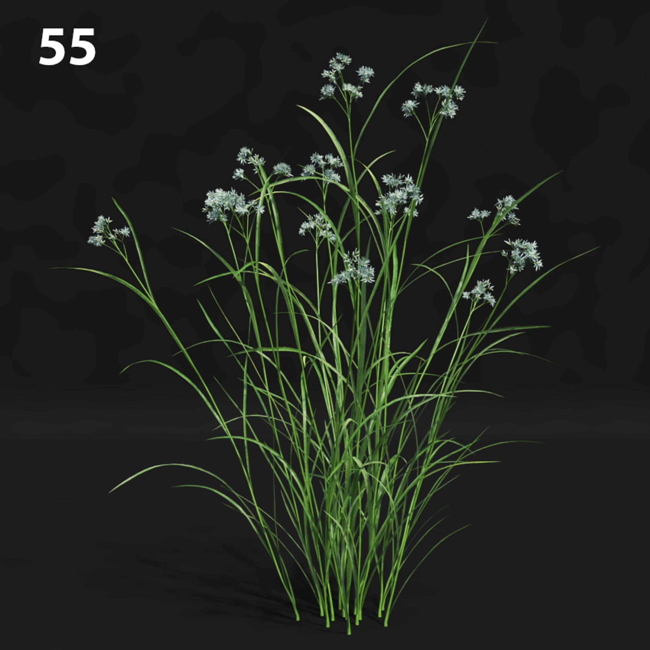 Realistic Grass Proxy Model for SketchUp with V-Ray