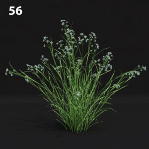 Realistic Grass Proxy Model for SketchUp with V-Ray