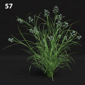 Realistic Grass Proxy Model for SketchUp with V-Ray