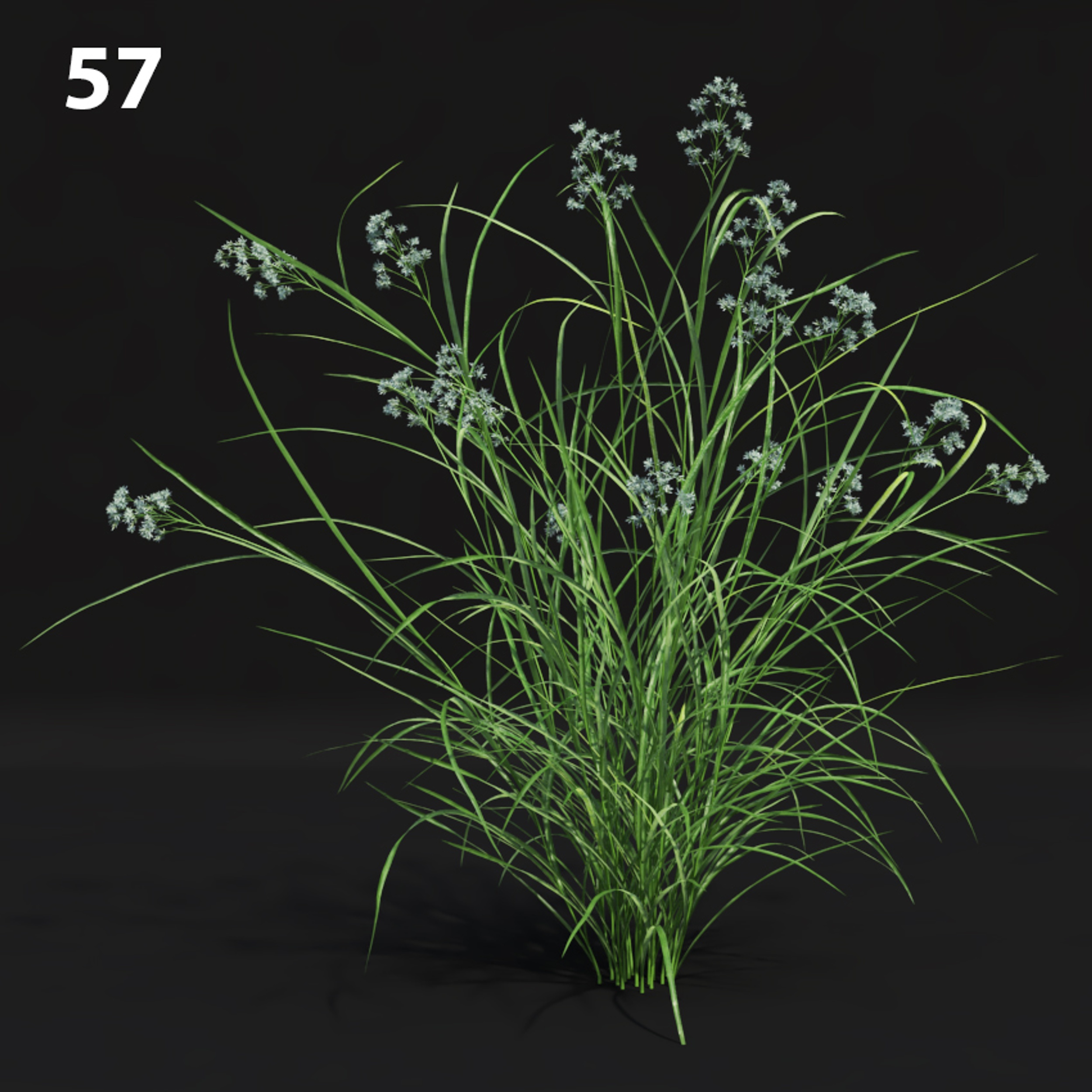 Realistic Grass Proxy Model for SketchUp with V-Ray