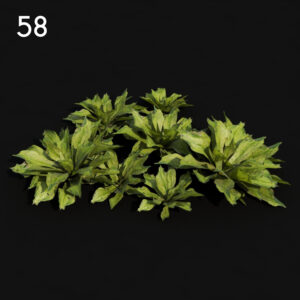 Rhododendron Proxy Model for SketchUp with V-Ray