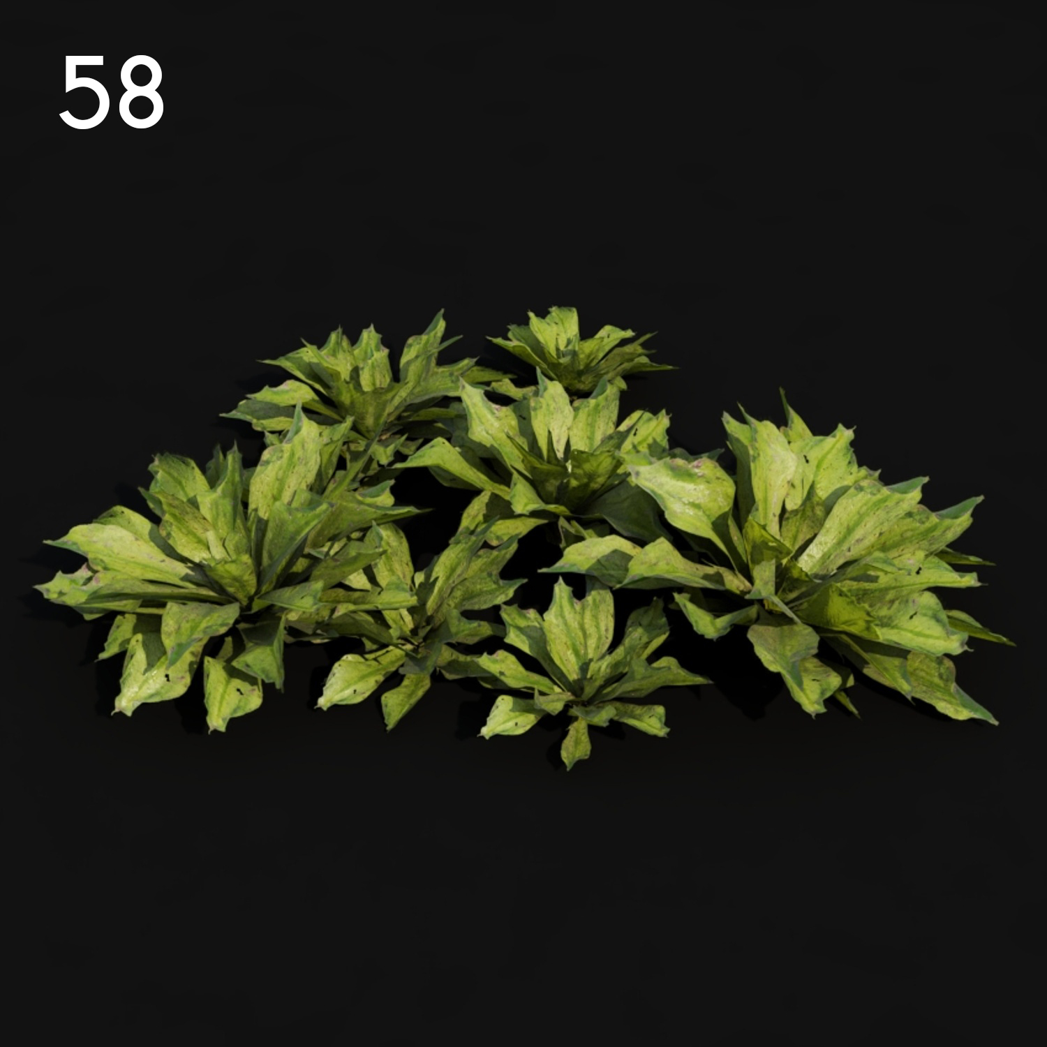 Rhododendron Proxy Model for SketchUp with V-Ray