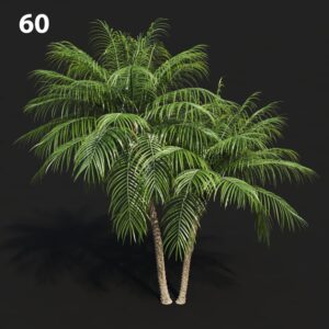 Palm Tree Proxy Model for SketchUp with V-Ray