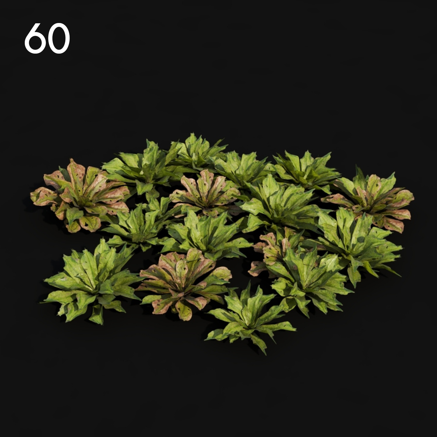 Rhododendron Proxy Model for SketchUp