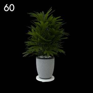 Elegant Potted Plant Model