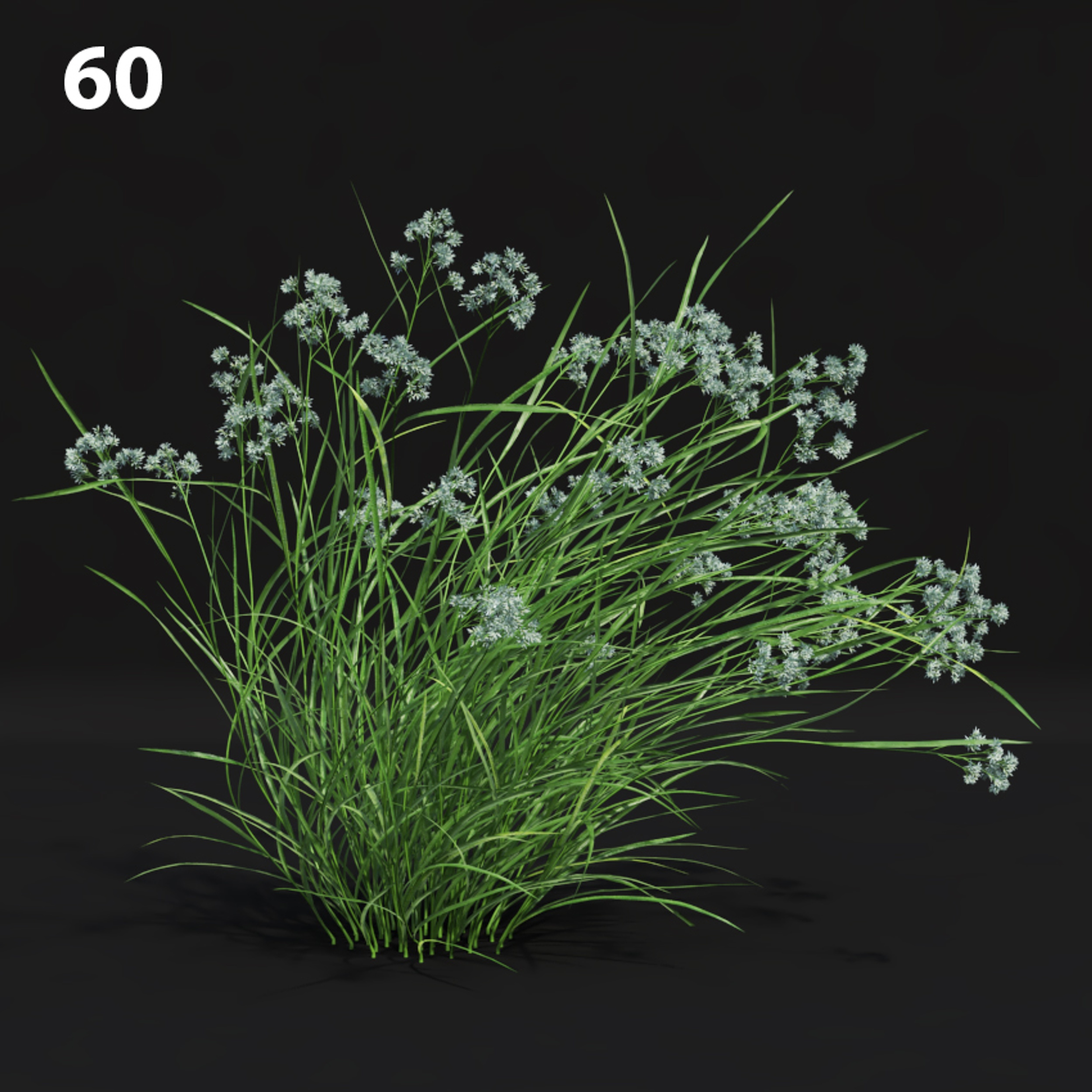Realistic Grass Proxy for SketchUp with V-Ray