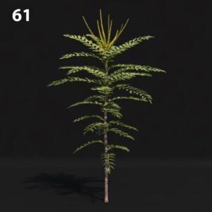 Mahogany Tree Proxy Model for SketchUp with V-Ray