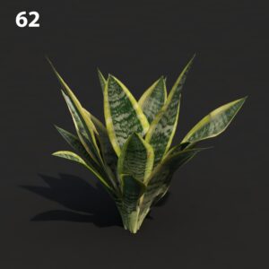 MTV75 Sansevieria Proxy Model for SketchUp with V-Ray