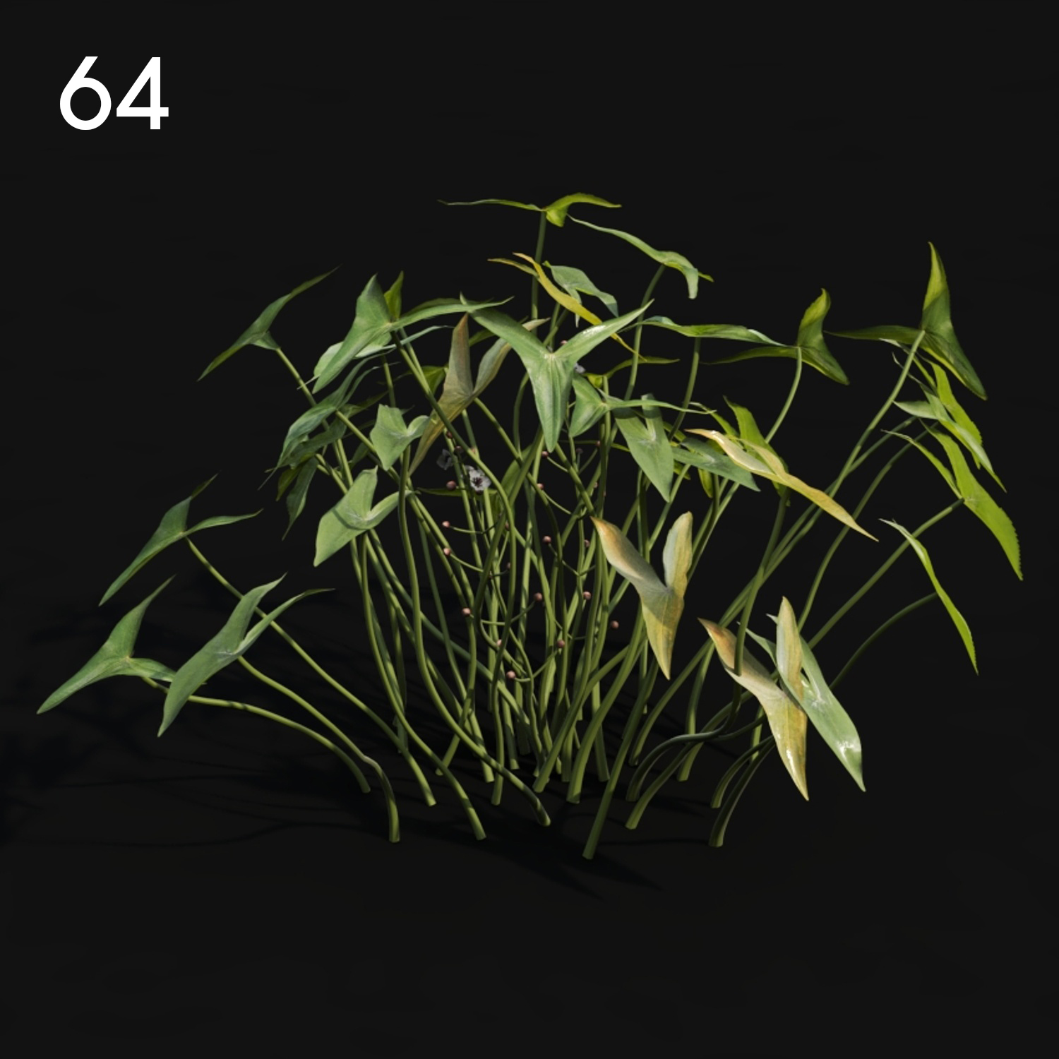 Sagit Plant Proxy Model