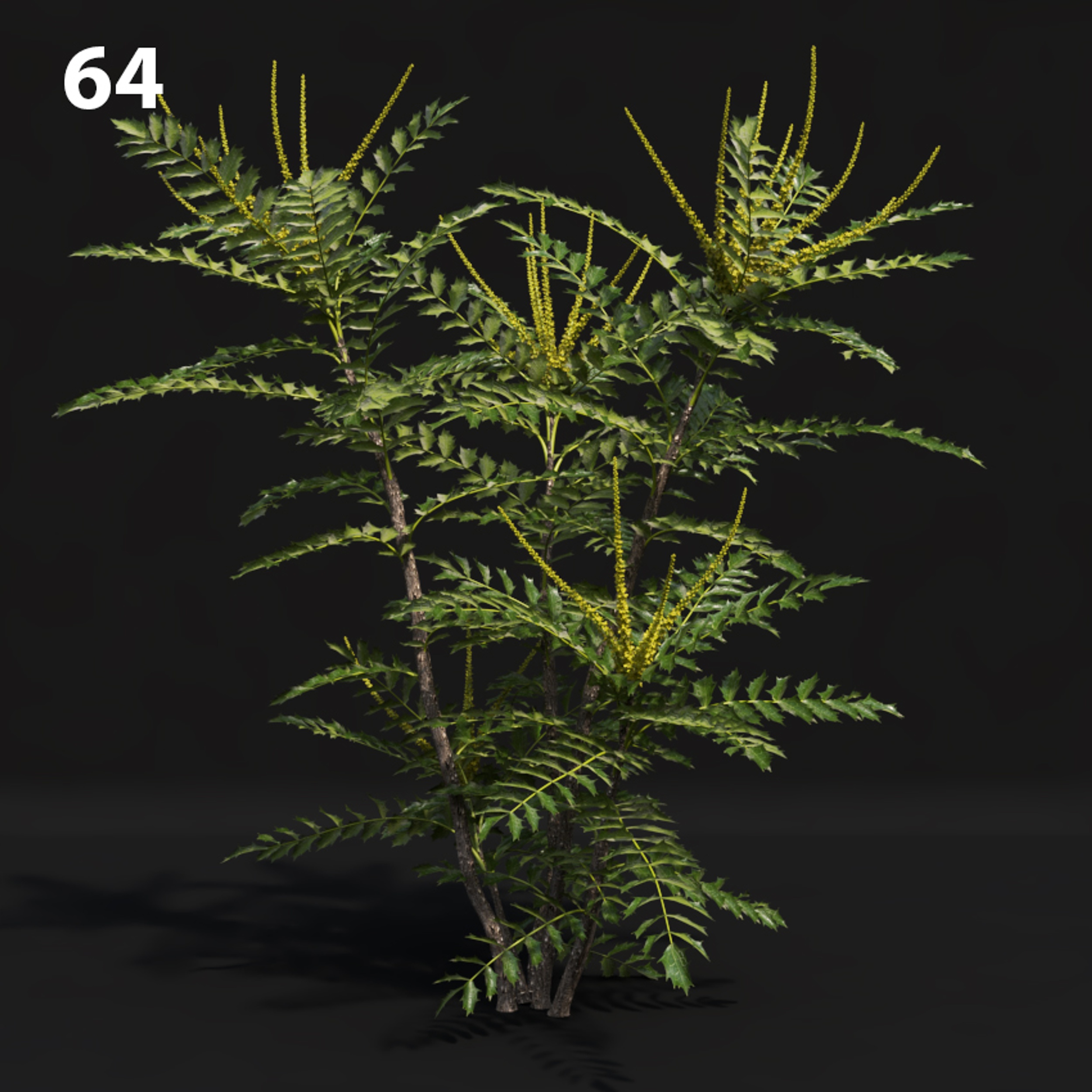 Premium Mahogany Proxy Model for SketchUp with V-Ray