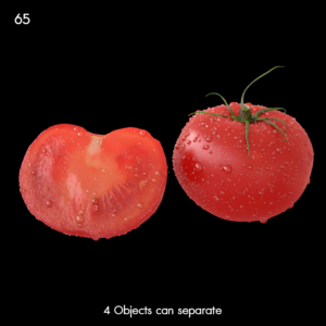 Realistic Tomato Proxy Model