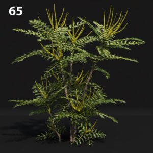 Mahogany Proxy Model for SketchUp with V-Ray