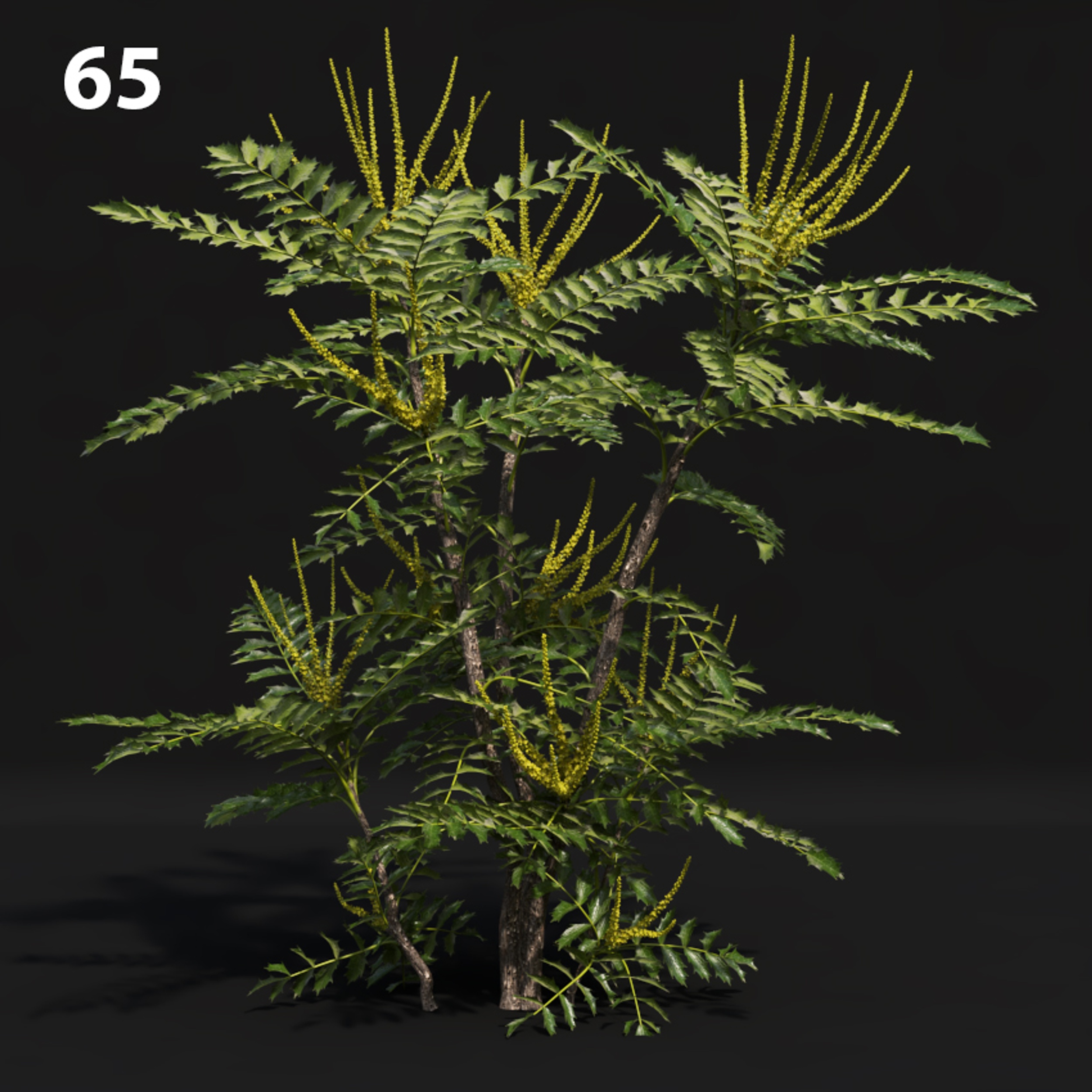 Mahogany Proxy Model for SketchUp with V-Ray