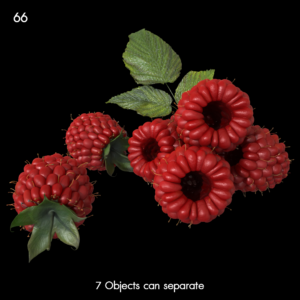 Realistic Raspberry Proxy Model for SketchUp with V-Ray