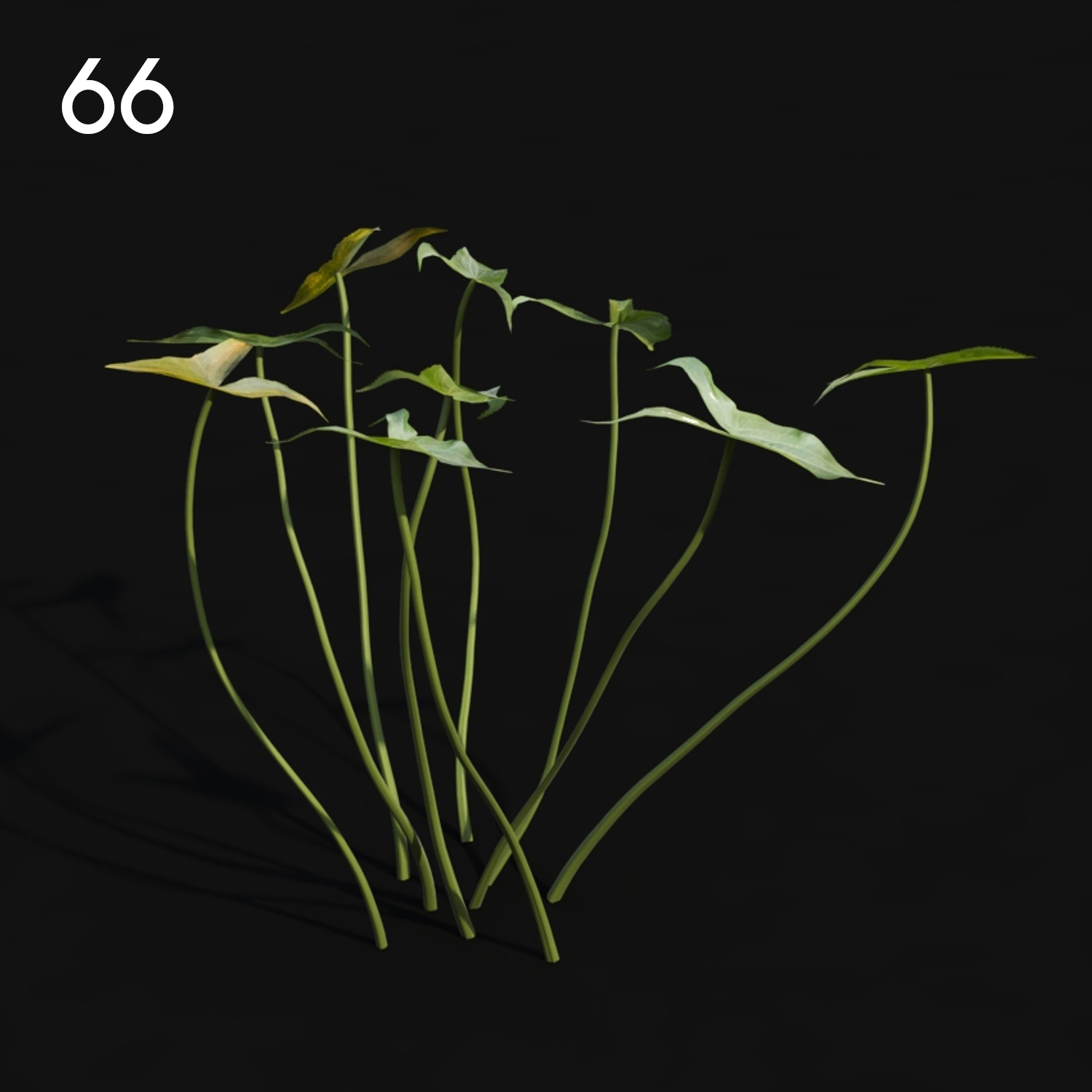 Sagit Plant Proxy Model