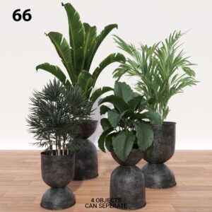 Decorative Plant Collection