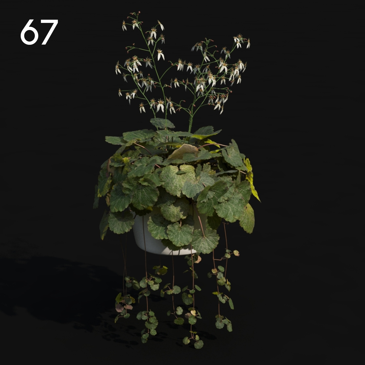 Hanging Plant Proxy Model for SketchUp with V-Ray