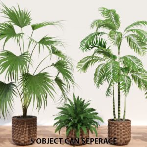 Decorative Plant Collection