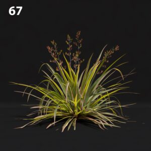 Photorealistic Grass Proxy Model for SketchUp with V-Ray