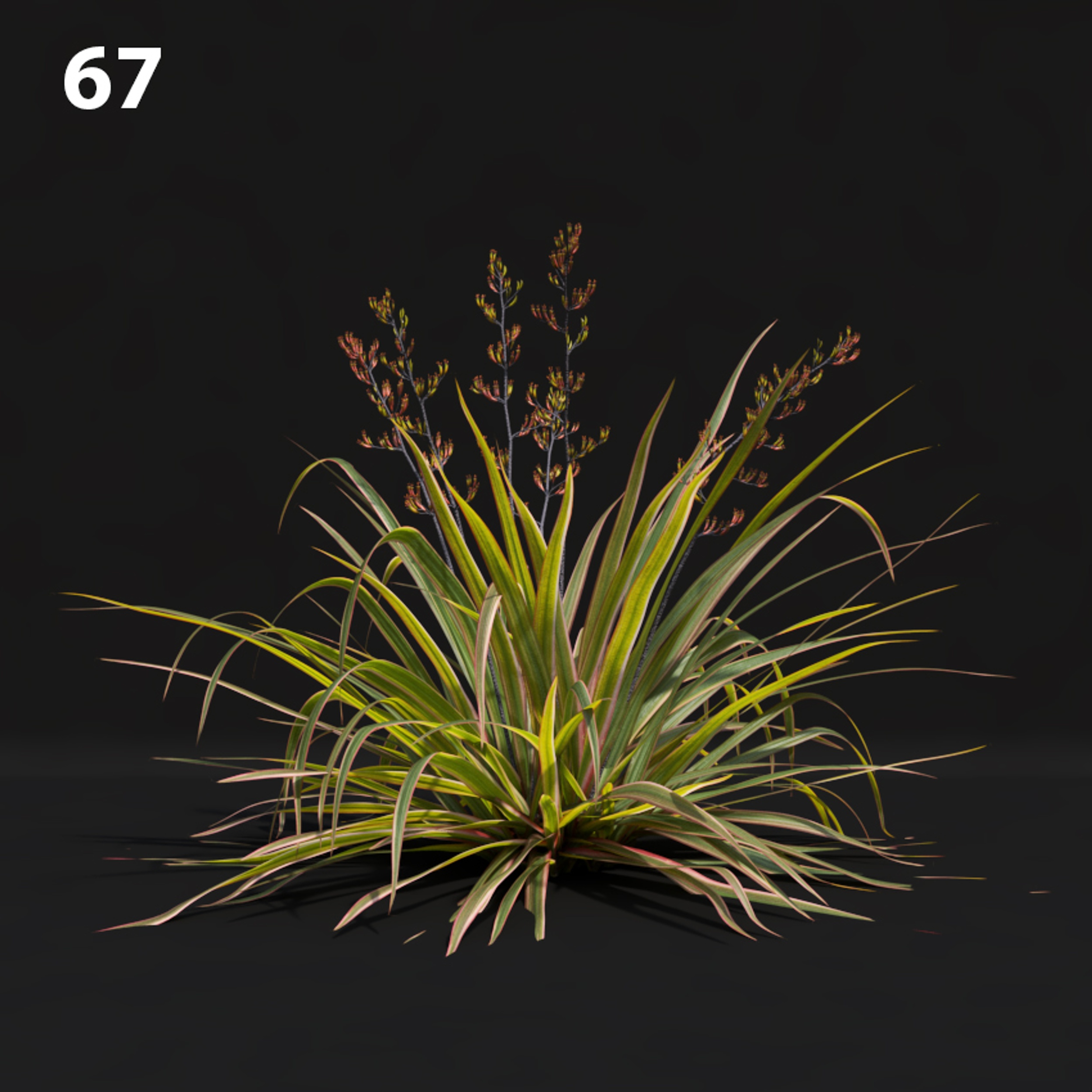 Photorealistic Grass Proxy Model for SketchUp with V-Ray